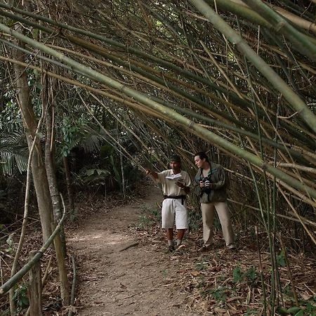 Tanjong Jara Resort, Terengganu - A Small Luxury Hotels Of The World Дунгун Экстерьер фото Bamboo forest in the park